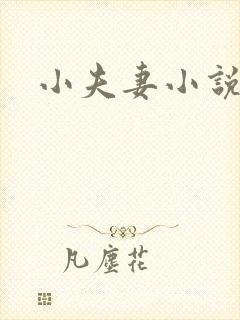 小夫妻小说