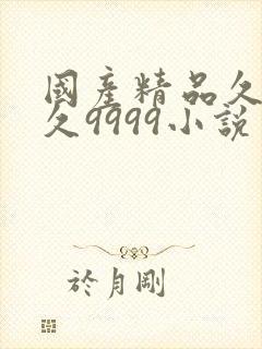 国产精品久久久久9999小说