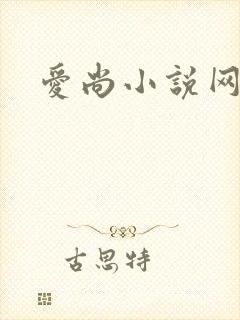 爱尚小说网