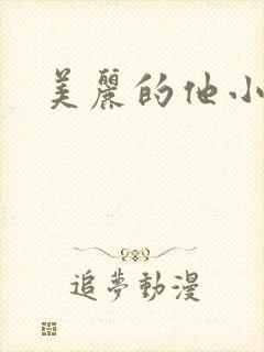 美丽的他小说