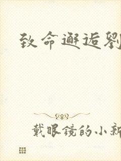 致命邂逅刘小寐