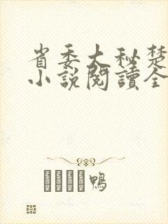 省委大秘楚东恒小说阅读全文