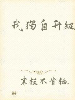 我独自升级小说