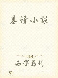 基情小说