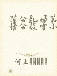 荡公乱妇第1章情公苏雪小说