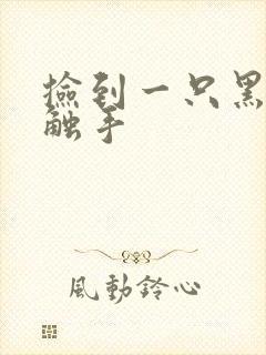 捡到一只黑心小触手