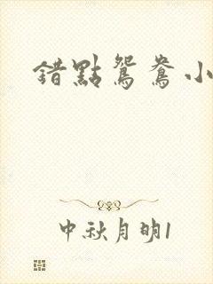 错点鸳鸯小说
