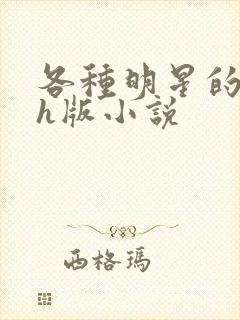 各种明星的综艺h版小说