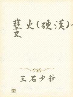 孽火(硬汉)今又