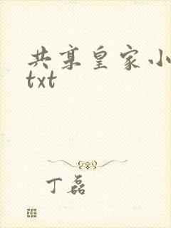 共享皇家小公主txt