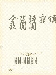 含苞待宠镇国公苏圆圆