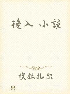 后入 小说