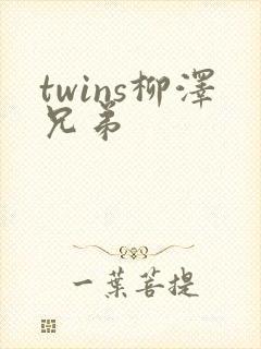 twins柳泽兄弟