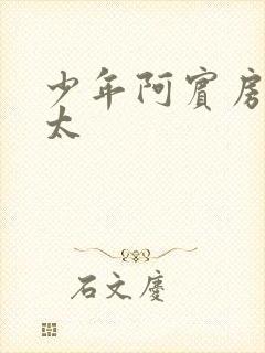 少年阿宾房东太太