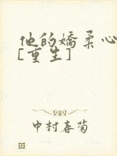 他的娇柔心尖宠[重生]