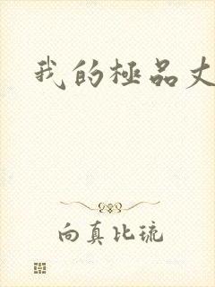 我的极品丈母娘