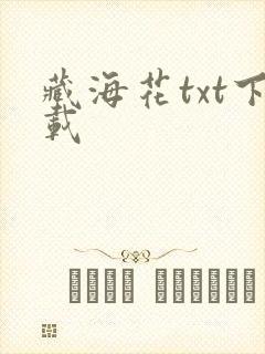 藏海花txt下载