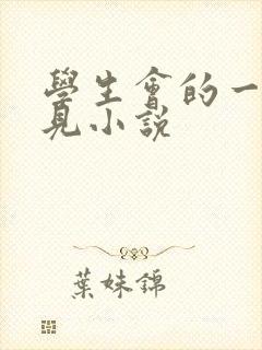 学生会的一己之见小说