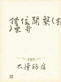 错位关系(校园)东哥