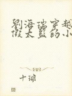 刘海瑞穿越后宫假太监的小说