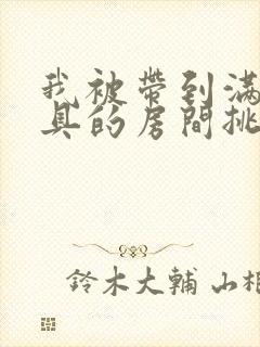 我被带到满是玩具的房间挑调作文