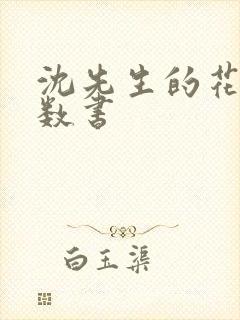 沈先生的花式调数书