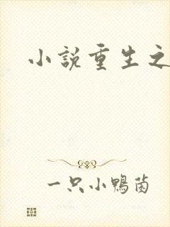 小说重生之官道