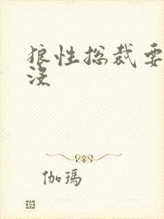 狼性总裁要够了没
