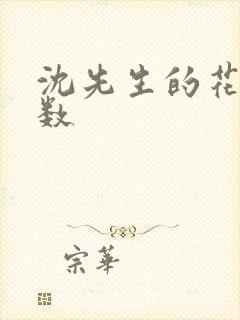 沈先生的花式调数