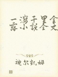 一泻千里金银花露小说全文免费阅读