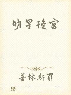 明星后宫