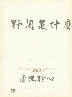 野周是什么意思