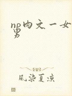 np肉文一女多男
