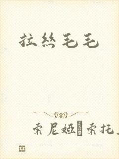 拉丝毛毛