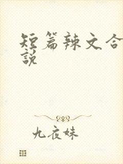 短篇辣文合集小说