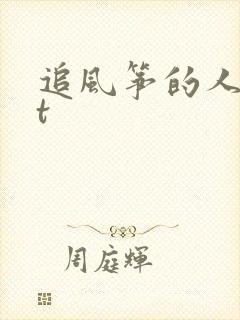 追风筝的人txt