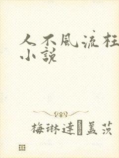 人不风流枉少年小说