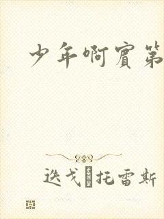 少年啊宾第二部