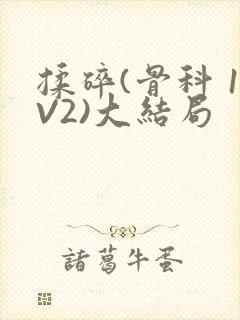 揉碎(骨科 1V2)大结局