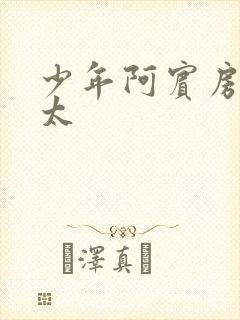 少年阿宾房东太太