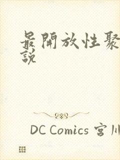 最开放性聚会小说