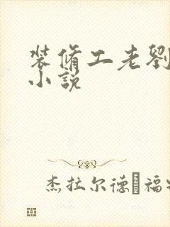 装修工老刘林雪小说