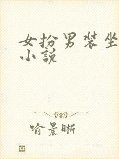 女扮男装坐江山小说