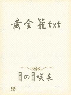 黄金笼txt