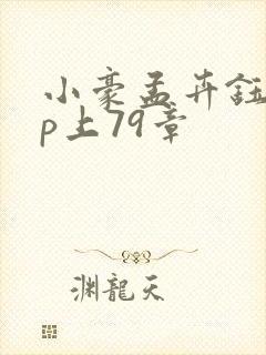 小豪孟卉钰慧三p上79章
