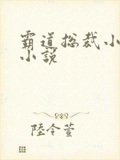 霸道总裁小娇妻小说