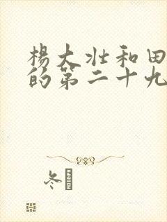 杨大壮和田桂花的第二十九