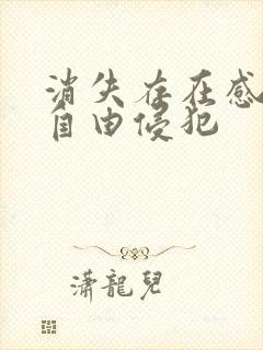 消失存在感消失自由侵犯