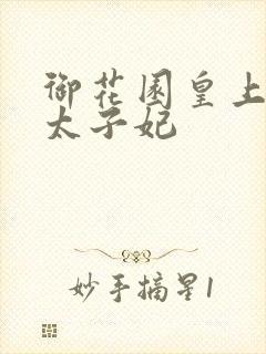 御花园皇上撞着太子妃