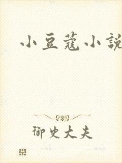 小豆蔻小说